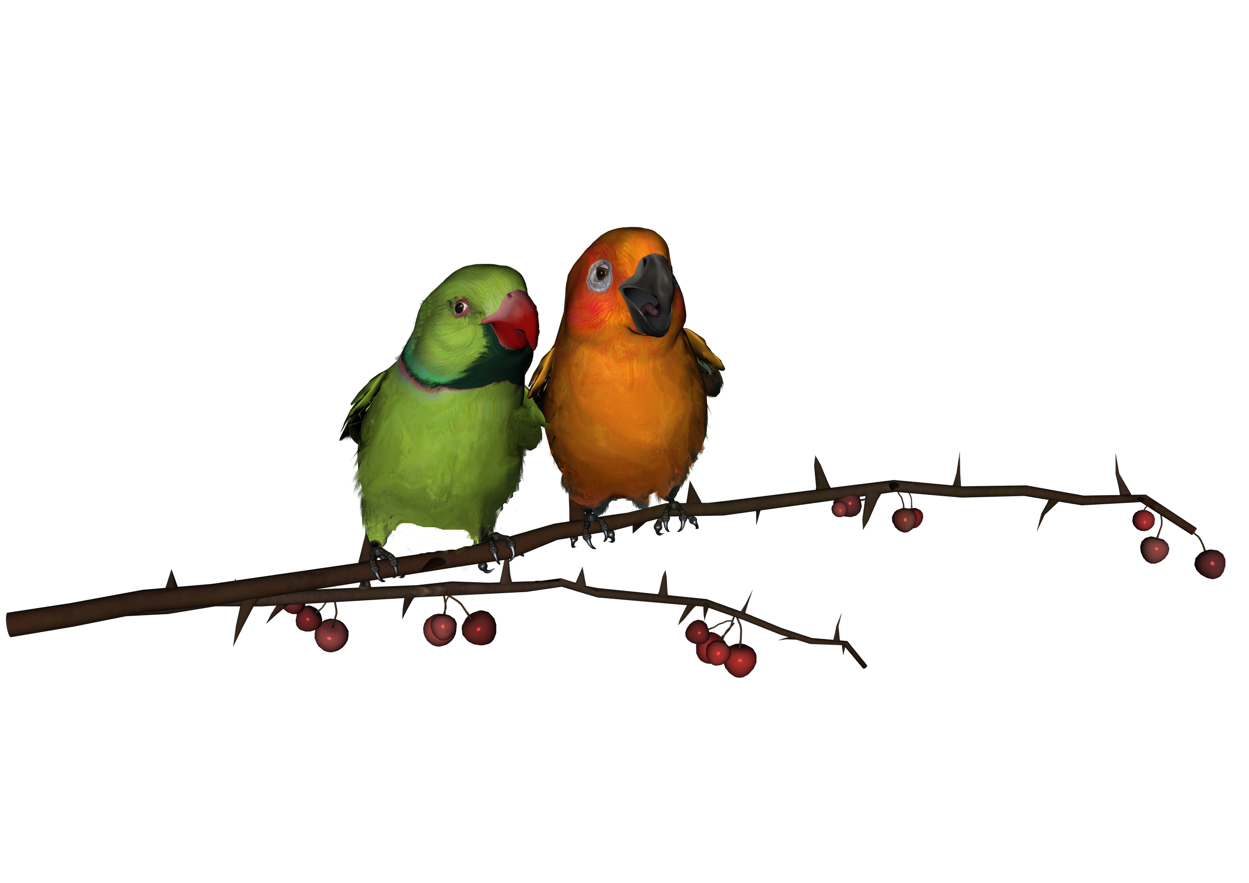 Love Birds Download Png Transparent PNG Image