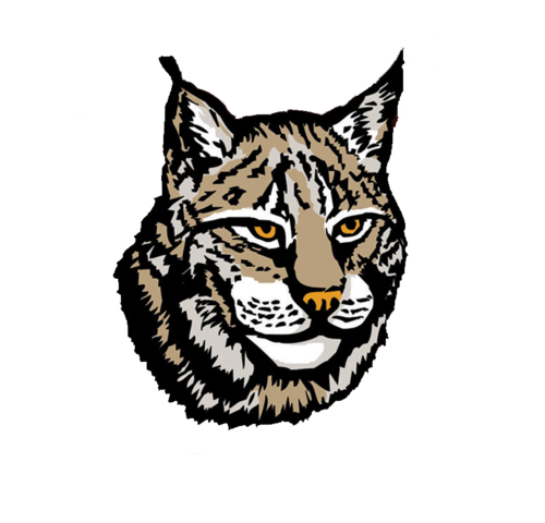 Lynx Png Image Transparent PNG Image