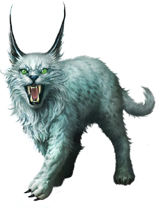 Lynx Png Clipart Transparent PNG Image