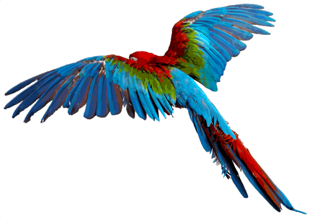 Macaw Download Png Transparent PNG Image