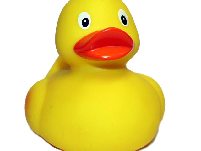 Rubber Duck Download Download HQ PNG Transparent PNG Image