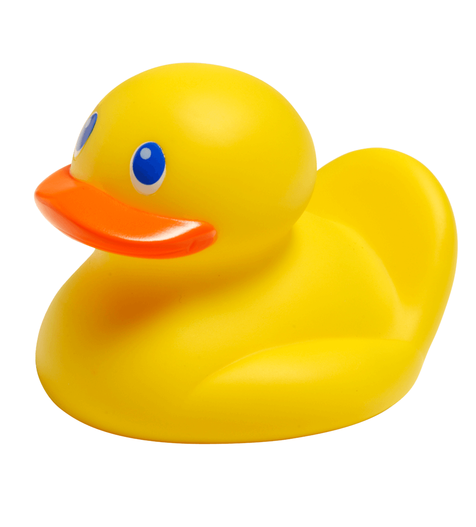 Rubber Duck Free Transparent Image HD Transparent PNG Image