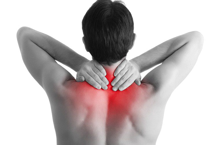 Back Pain Download HD PNG Transparent PNG Image