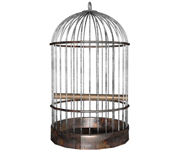 Cage Free Download PNG HQ Transparent PNG Image