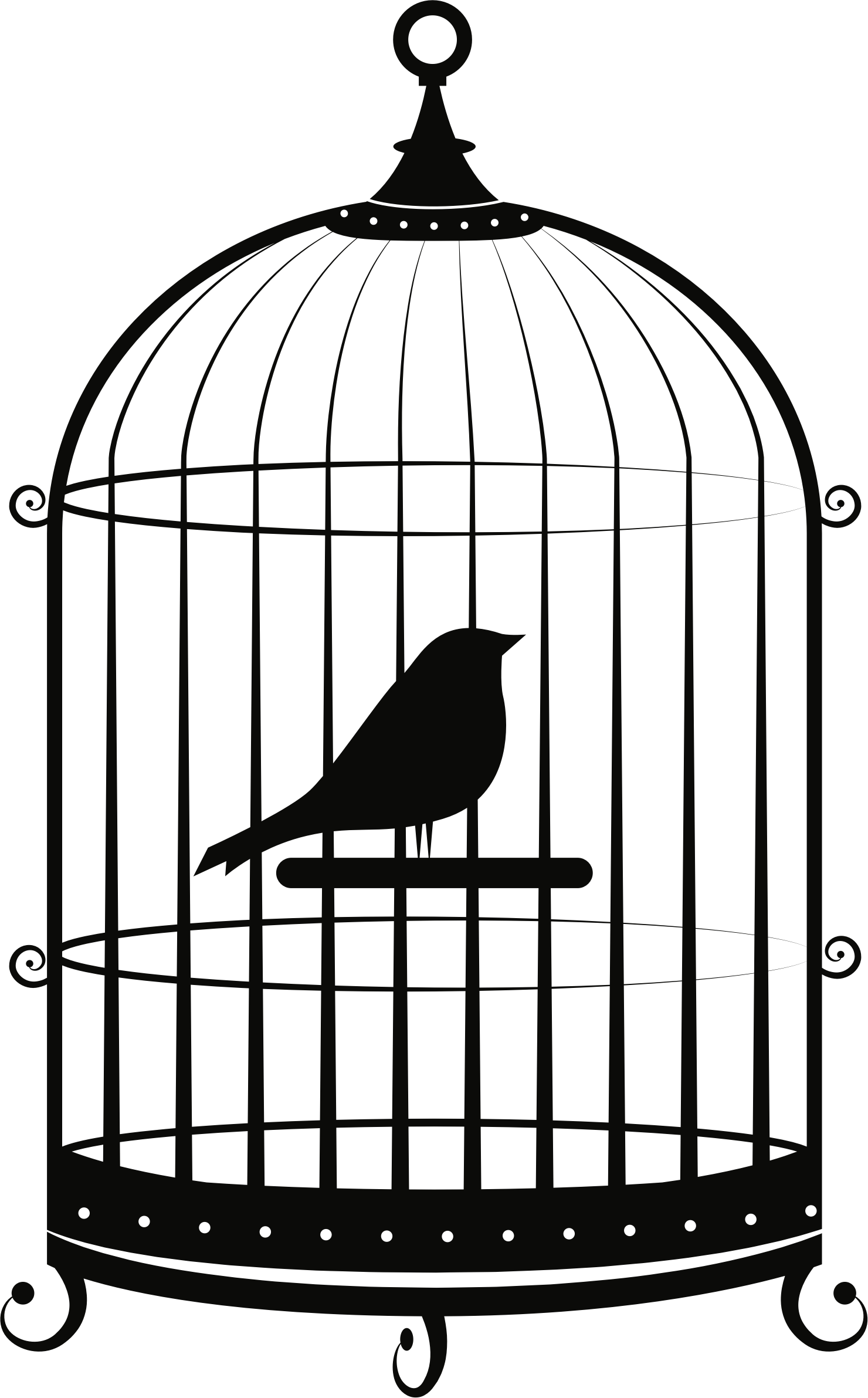 Cage Image PNG Image High Quality Transparent PNG Image