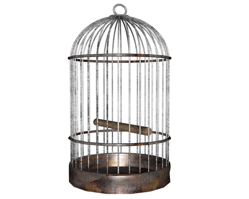 Cage Photos HQ Image Free PNG Transparent PNG Image