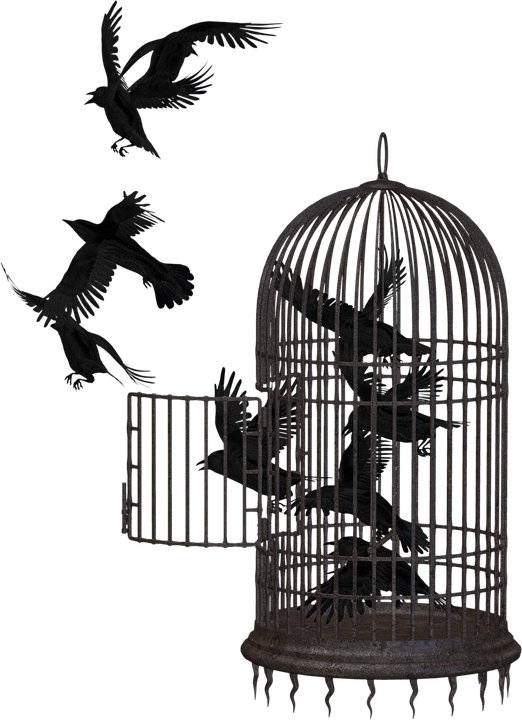 Cage Picture Free PNG HQ Transparent PNG Image