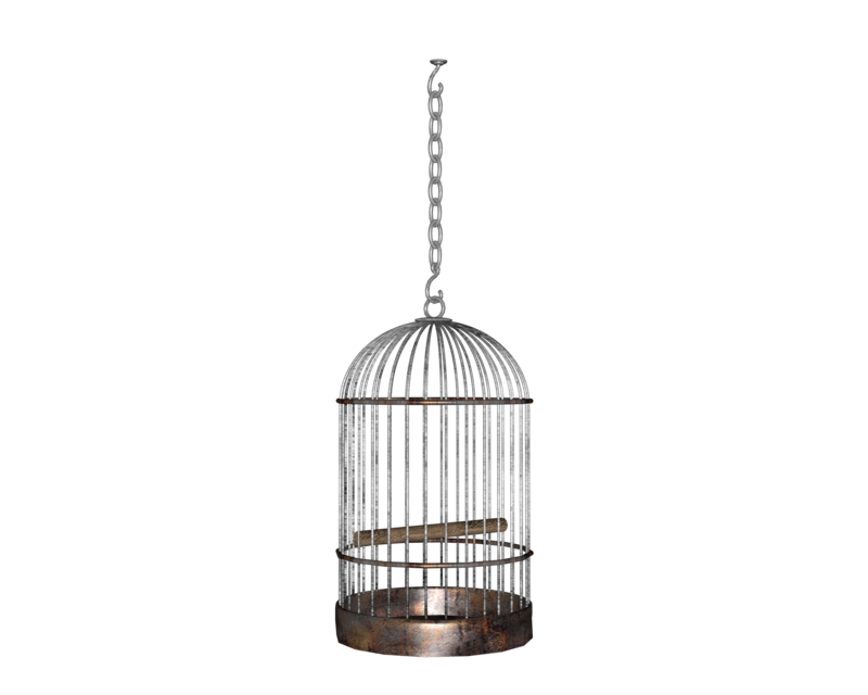 Cage Free Clipart HD Transparent PNG Image