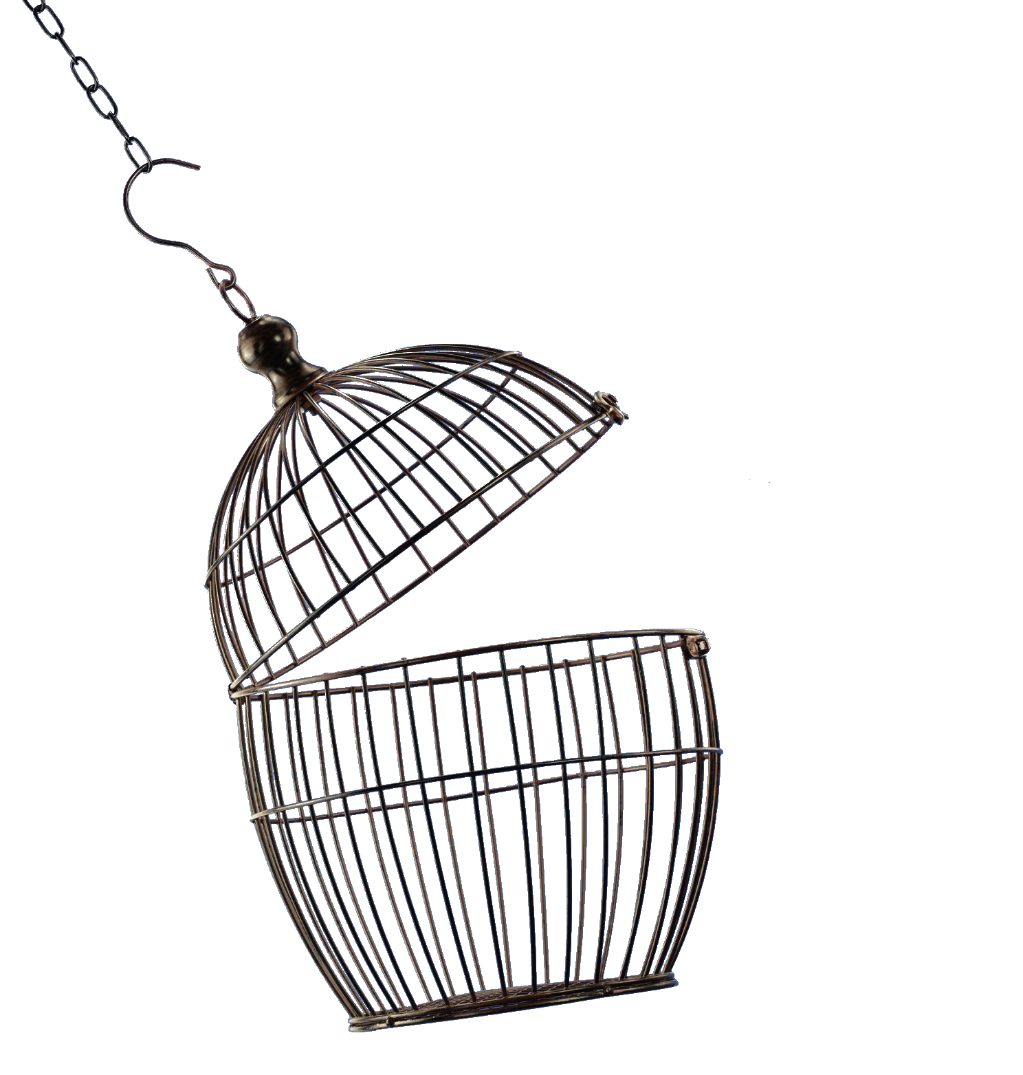 Cage HD Image Free PNG Transparent PNG Image