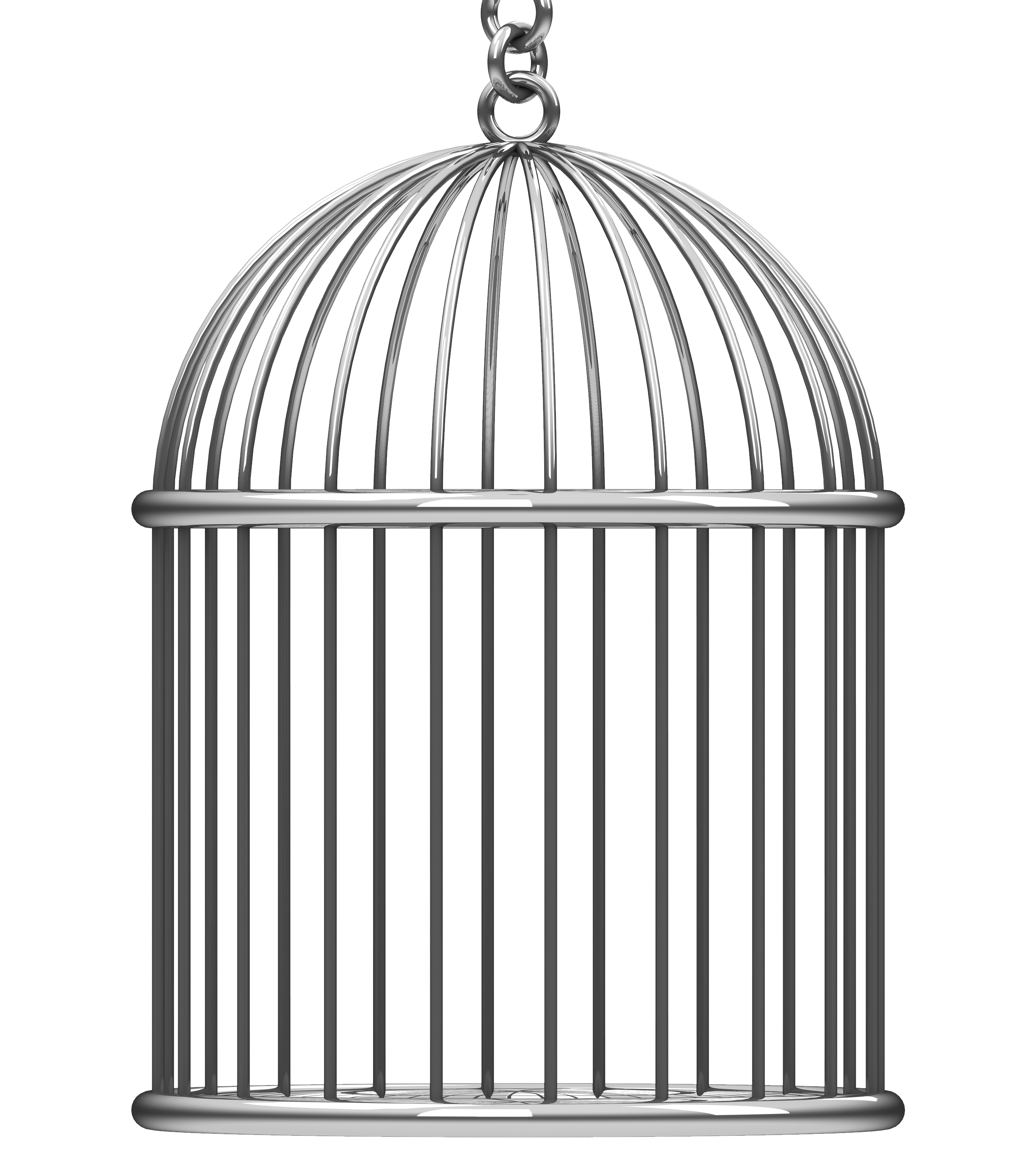 Cage Free PNG HQ Transparent PNG Image