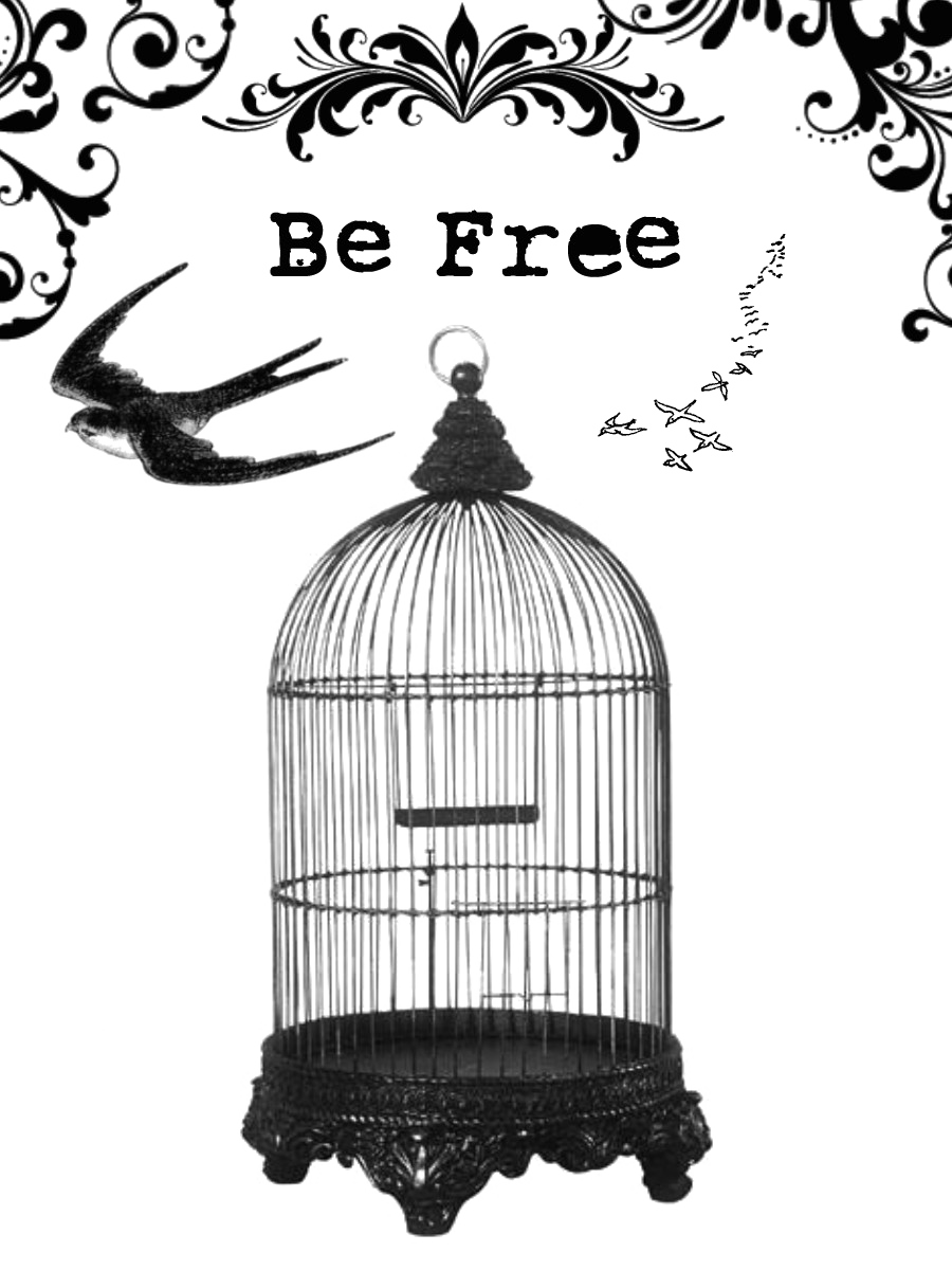 Caged Bird PNG Free Photo Transparent PNG Image