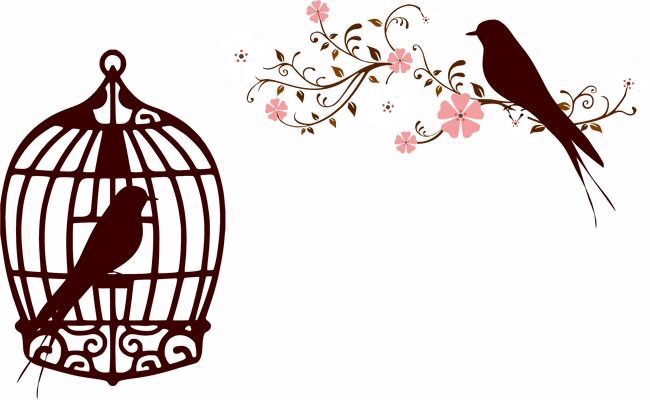 Caged Bird Image Free Download PNG HQ Transparent PNG Image