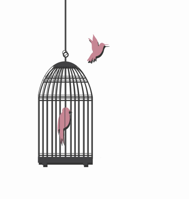 Caged Bird Picture Download HD PNG Transparent PNG Image