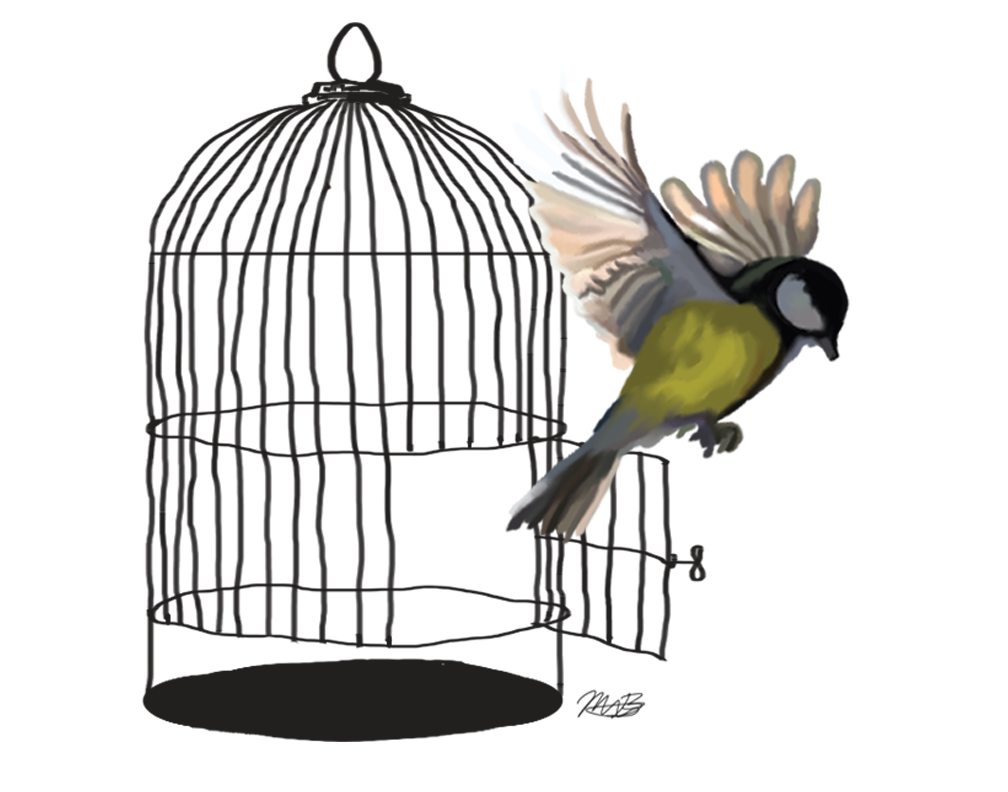 Caged Bird Free Download Image Transparent PNG Image