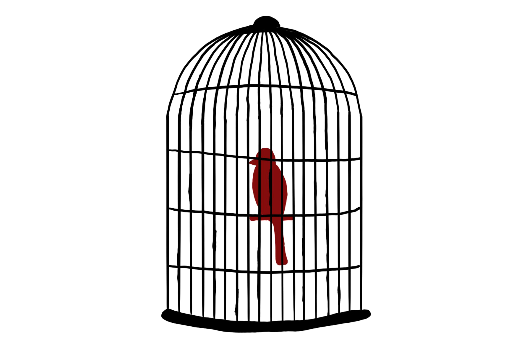 Caged Bird Images Free HQ Image Transparent PNG Image