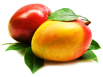 Mango Png Clipart Transparent PNG Image