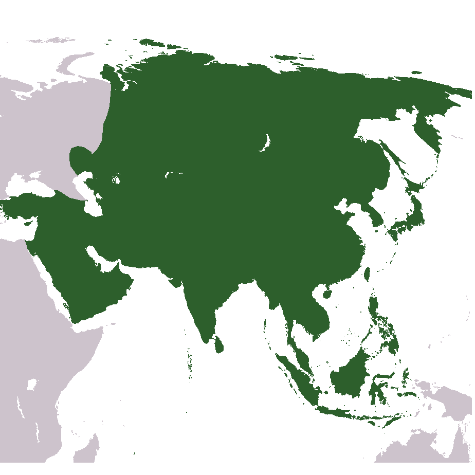 Map Asia Photos PNG Download Free Transparent PNG Image