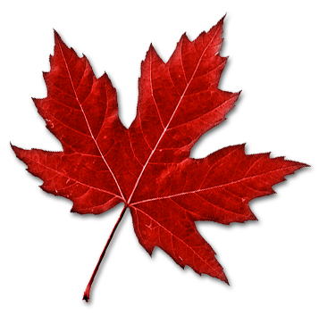 Canada Leaf Png Image Transparent PNG Image