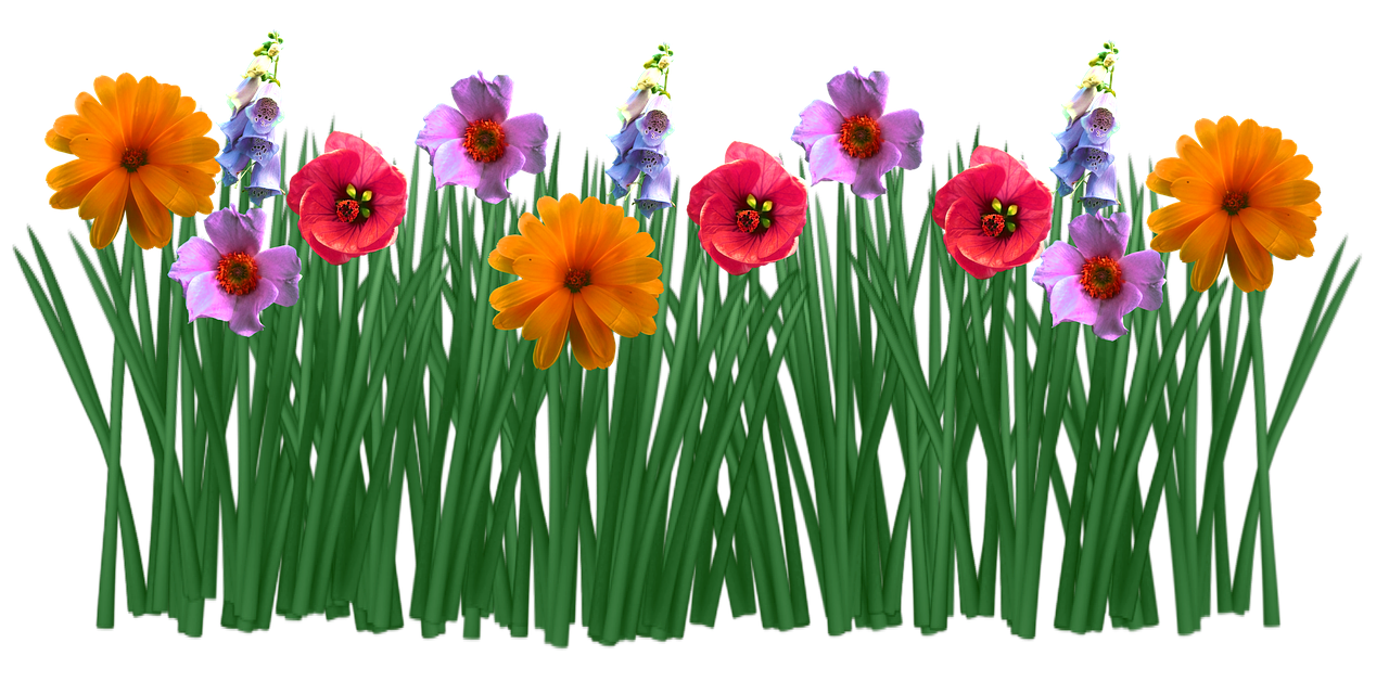 Field Meadow Free HQ Image Transparent PNG Image