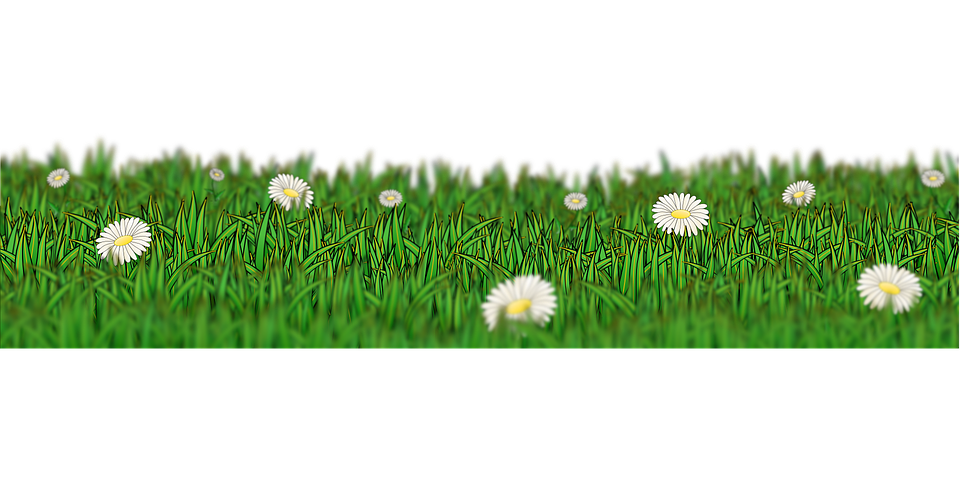 Field Meadow Free Transparent Image HD Transparent PNG Image