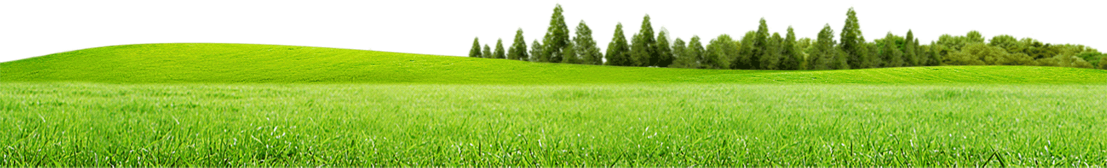 Field Meadow Photos HQ Image Free Transparent PNG Image