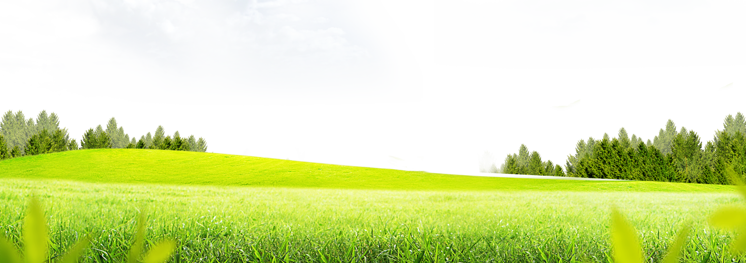 Meadow Greenscape Download Free Image Transparent PNG Image