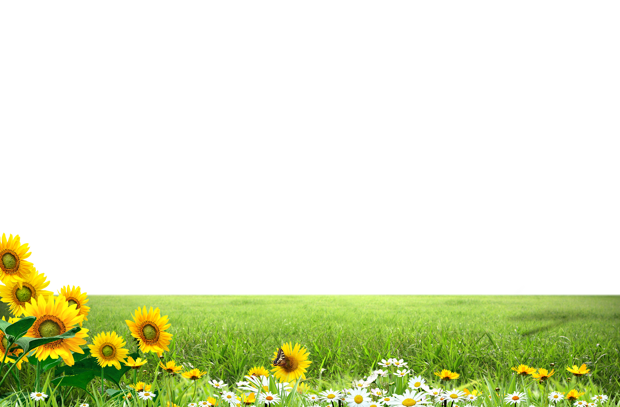 Meadow Greenscape Download HD Transparent PNG Image