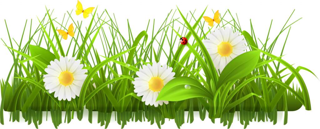 Meadow Download HQ Transparent PNG Image