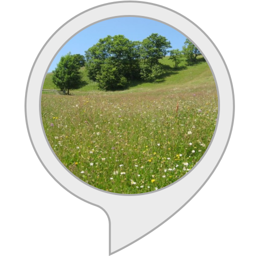 Picture Meadow Download HD Transparent PNG Image