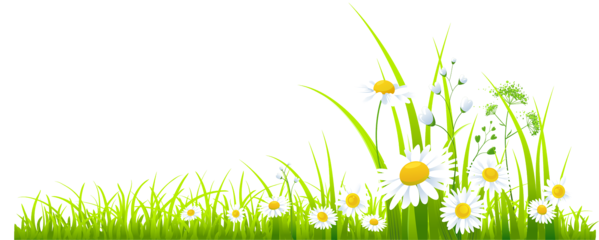 Summer Meadow Free Transparent Image HQ Transparent PNG Image