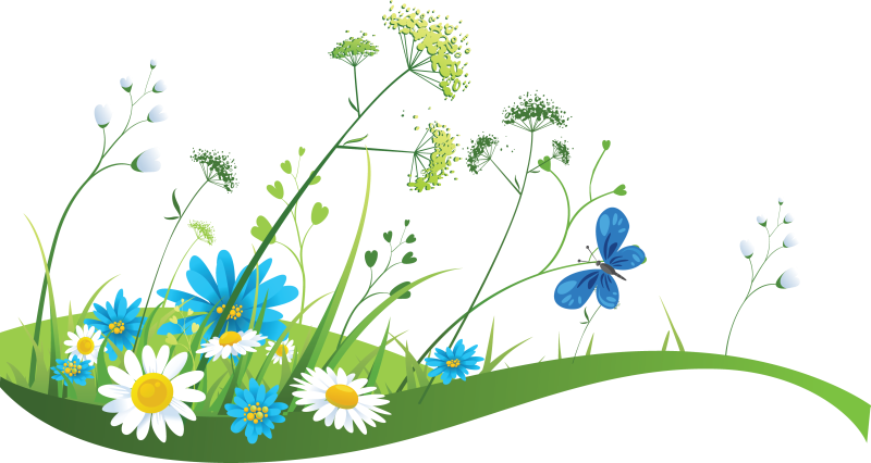 Summer Meadow Download HD Transparent PNG Image