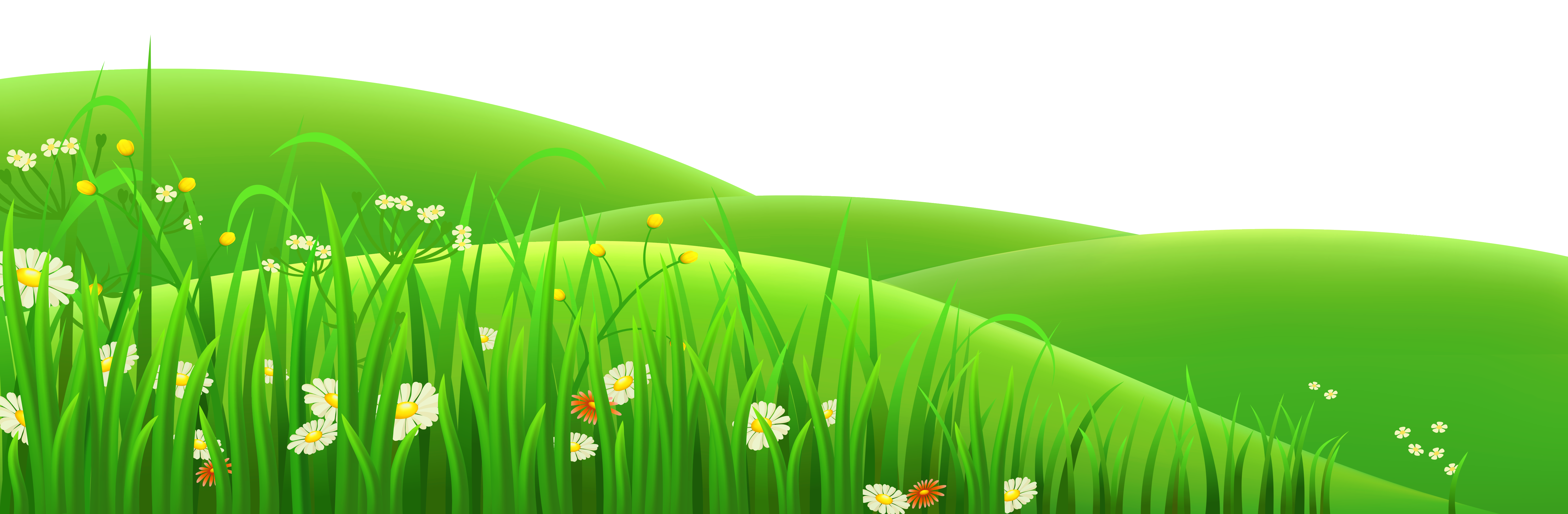 Summer Meadow Picture Free HQ Image Transparent PNG Image