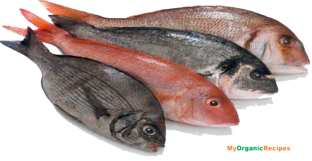 Fish Meat File Transparent PNG Image