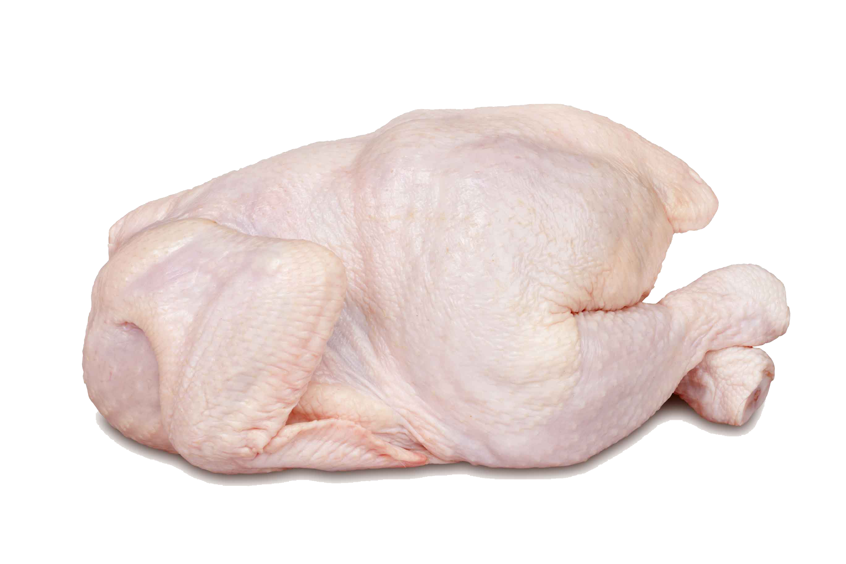 Chicken Meat File Transparent PNG Image