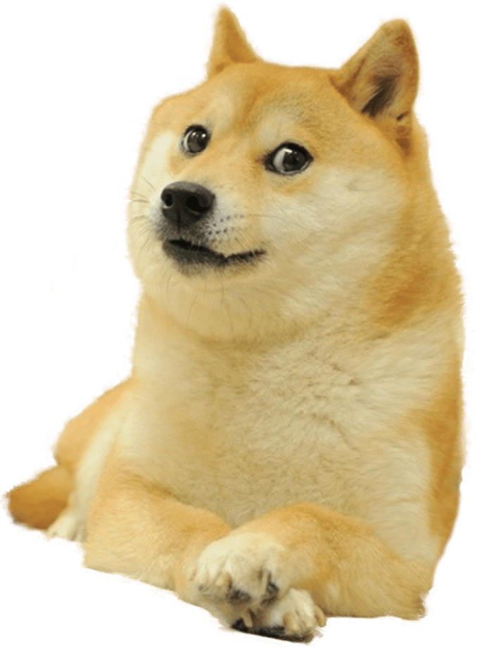 Meme Doge Free PNG HQ Transparent PNG Image