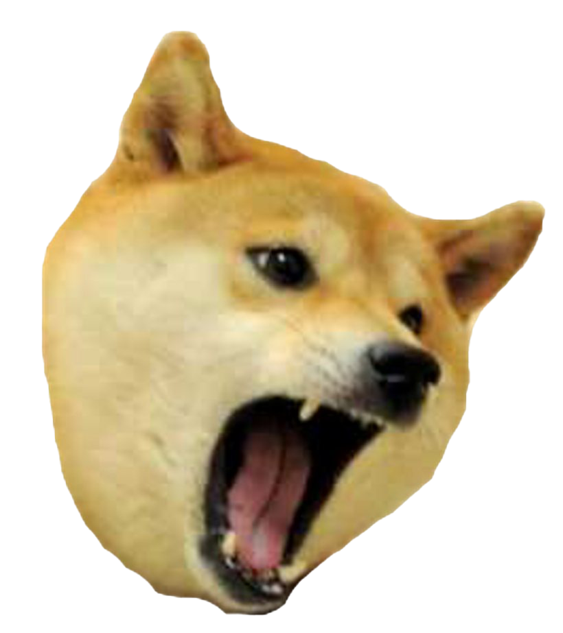 Meme Picture Doge Download Free Image Transparent PNG Image