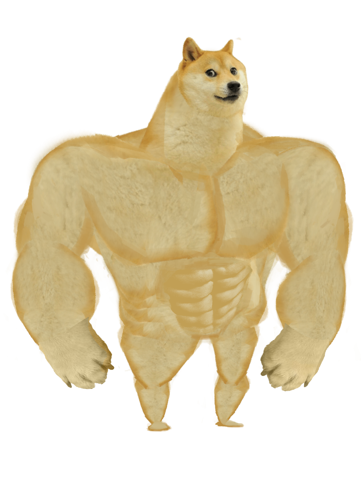 Shiba Inu Doge Meme Free Download PNG HD Transparent PNG Image