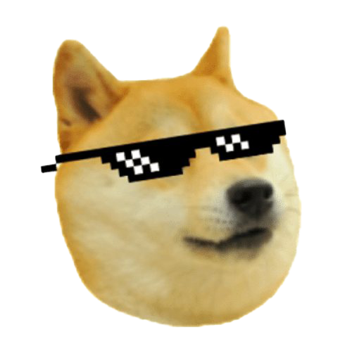 Shiba Inu Doge Meme Picture Transparent PNG Image