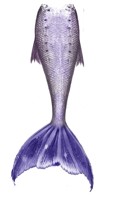 Mermaid Tail Free Download Png Transparent PNG Image