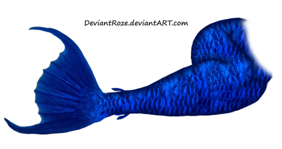 Mermaid Tail Png Picture Transparent PNG Image