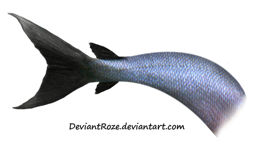 Mermaid Tail Free Png Image Transparent PNG Image