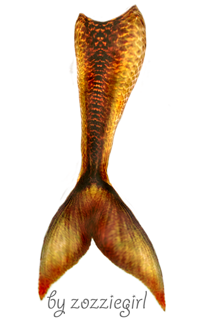 Mermaid Tail Transparent Transparent PNG Image