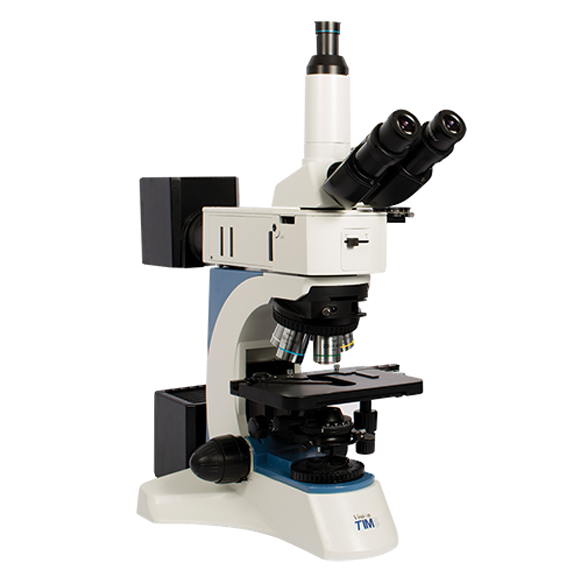 Picture Microscope Free HD Image Transparent PNG Image