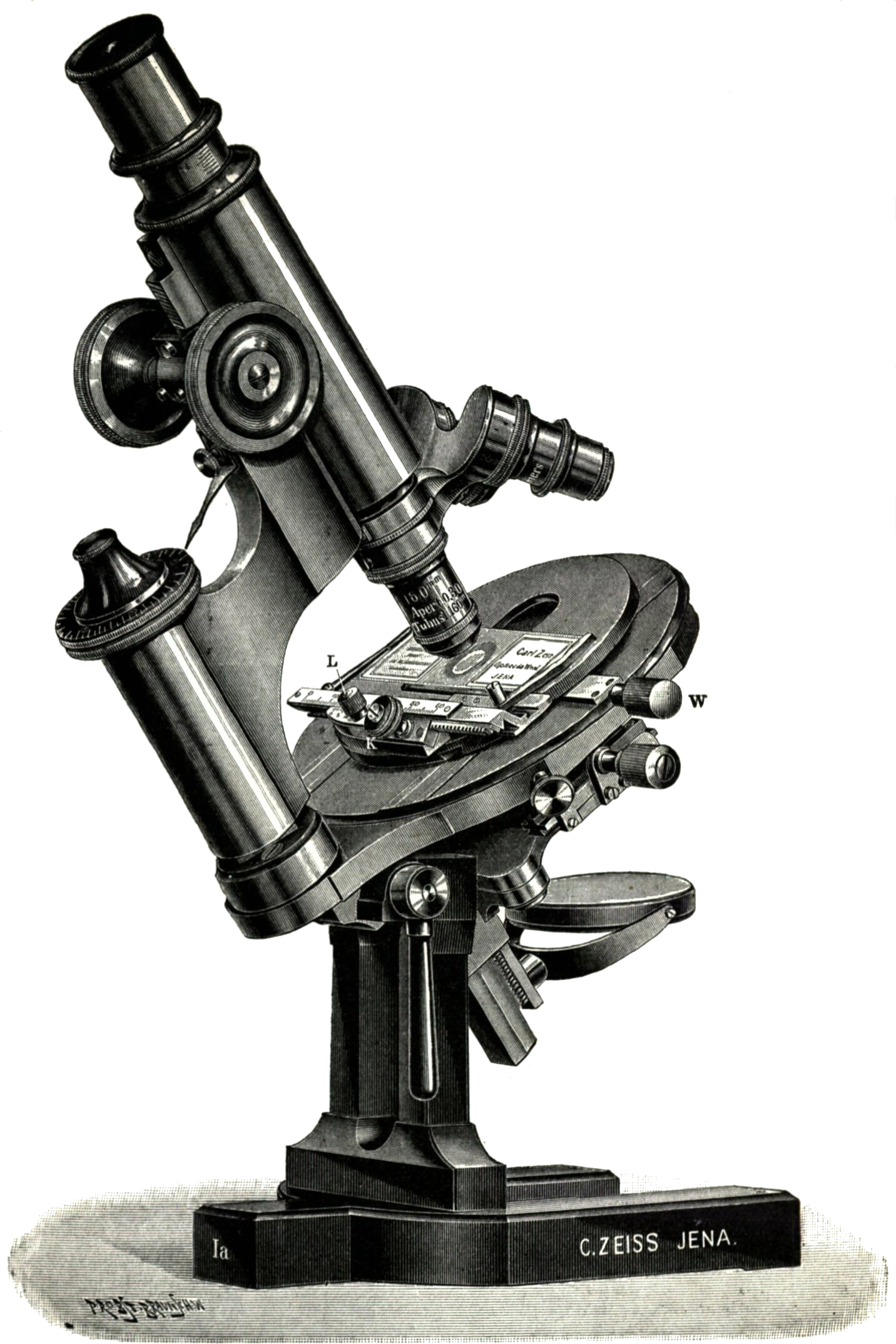 Microscope Free Photo Transparent PNG Image