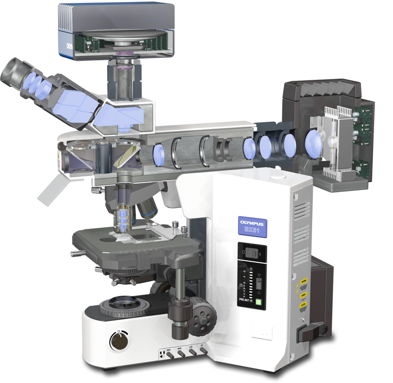 Microscope Free Transparent Image HQ Transparent PNG Image