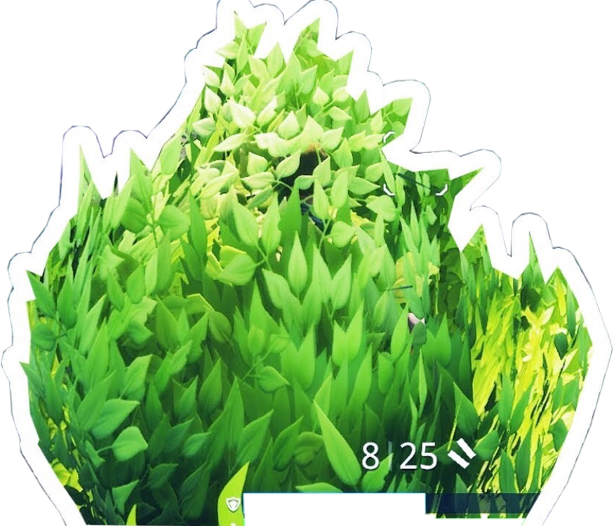 Vegetable Leaf Royale Game Fortnite Battle Grass Transparent PNG Image