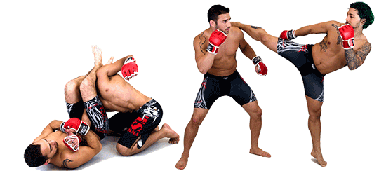 Mma Free Download Transparent PNG Image