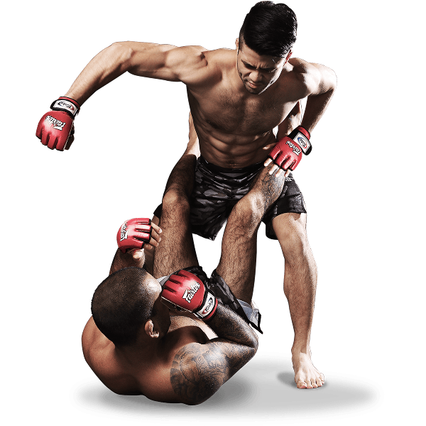 Mma File Transparent PNG Image