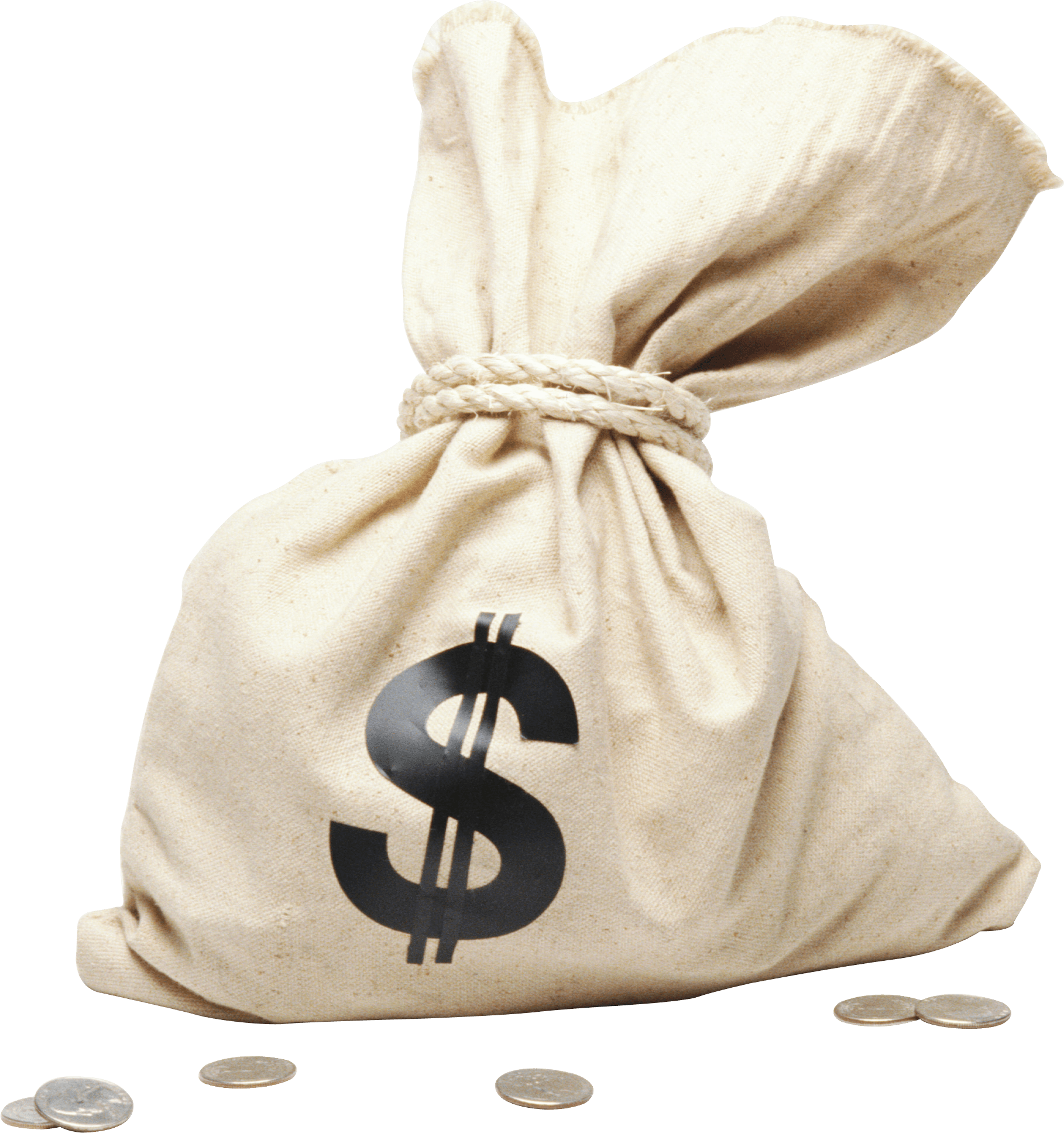 Money Bag Png Image Transparent PNG Image