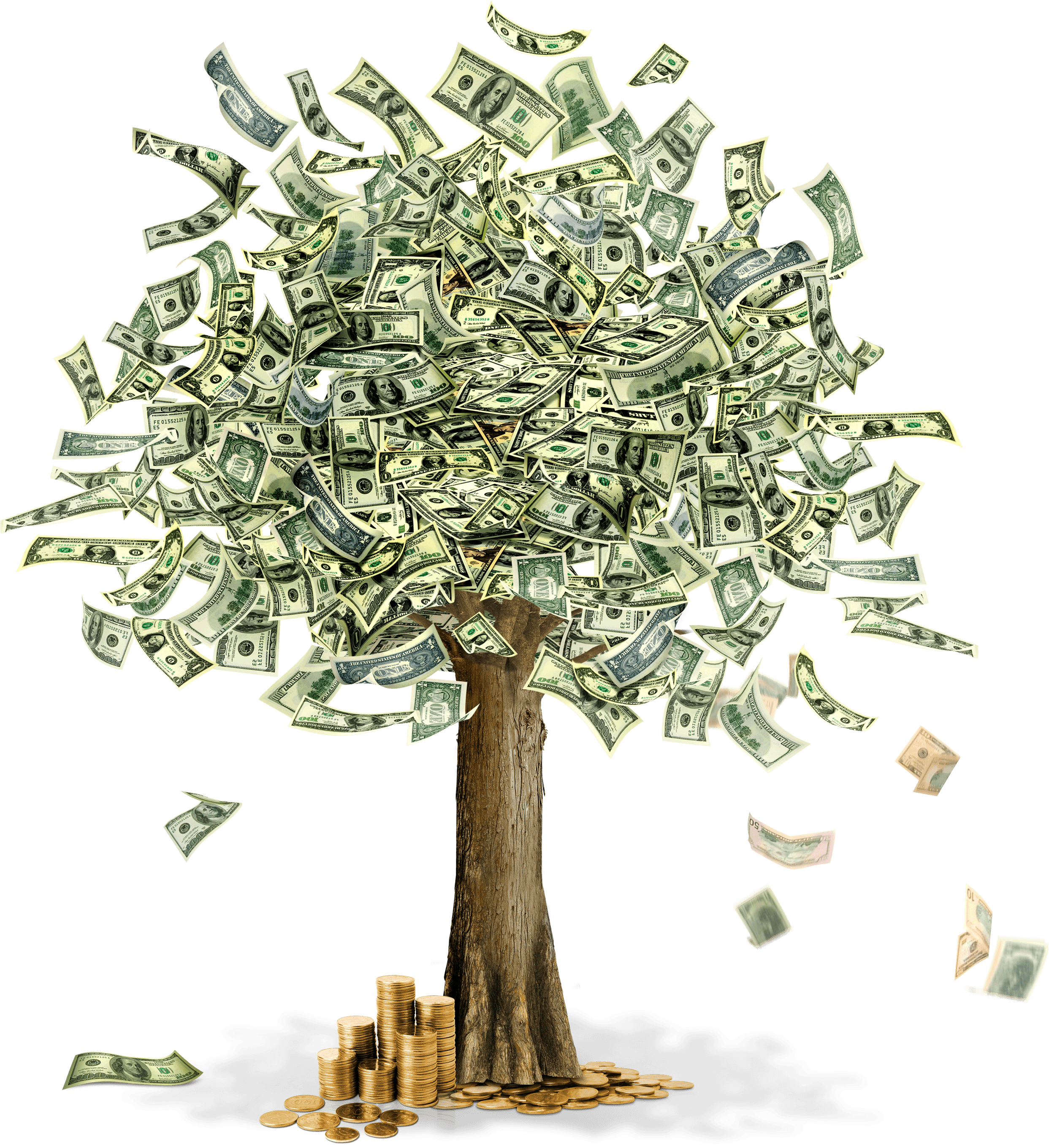 Money Moneytree Free HD Image Transparent PNG Image